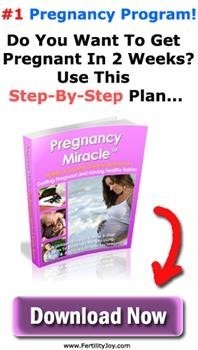 &quot;Pregnancy Miracle Real Reviews