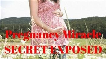 &quot;The Miracle of Life Pregnancy Plague