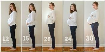 &quot;Pregnancy Miracle Book Summary