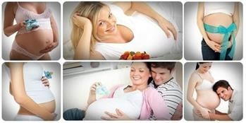 &quot;Expecting a Miracle Pregnancy Journal