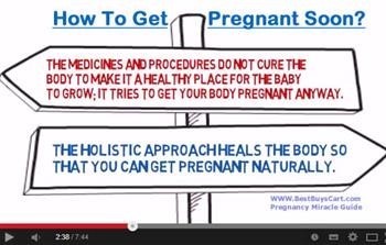 &quot;Pregnancy Miracle Method for Twins