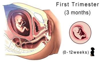 &quot;Monoi Miracle Oil Pregnancy