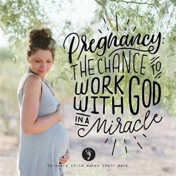 &quot;Review on Pregnancy Miracle Book